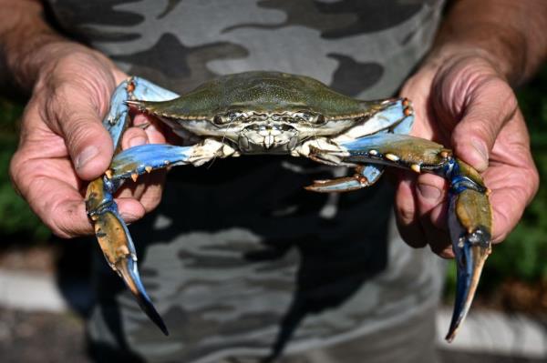 Invasive species problem will be ‘worse before it gets better’